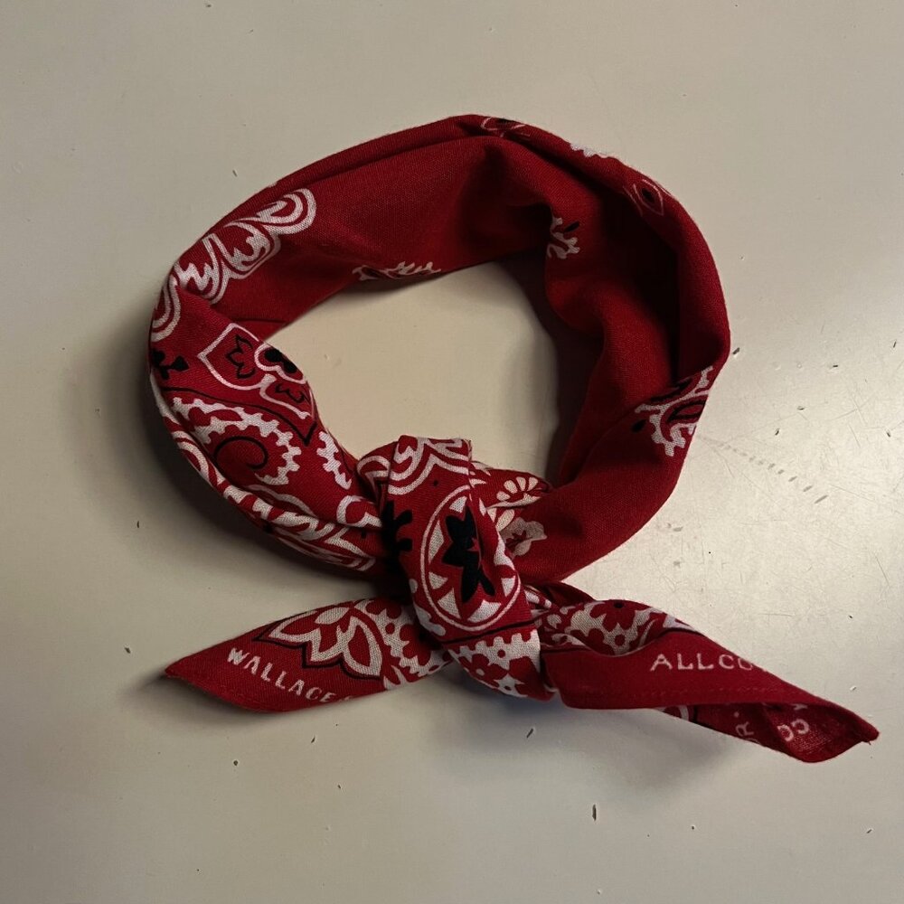 J.Crew Wallace & Barnes bandana